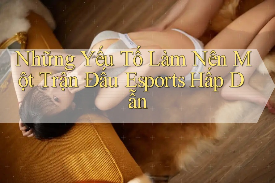 Những Yếu Tố Làm Nên Một Trận Đấu Esports Hấp Dẫn