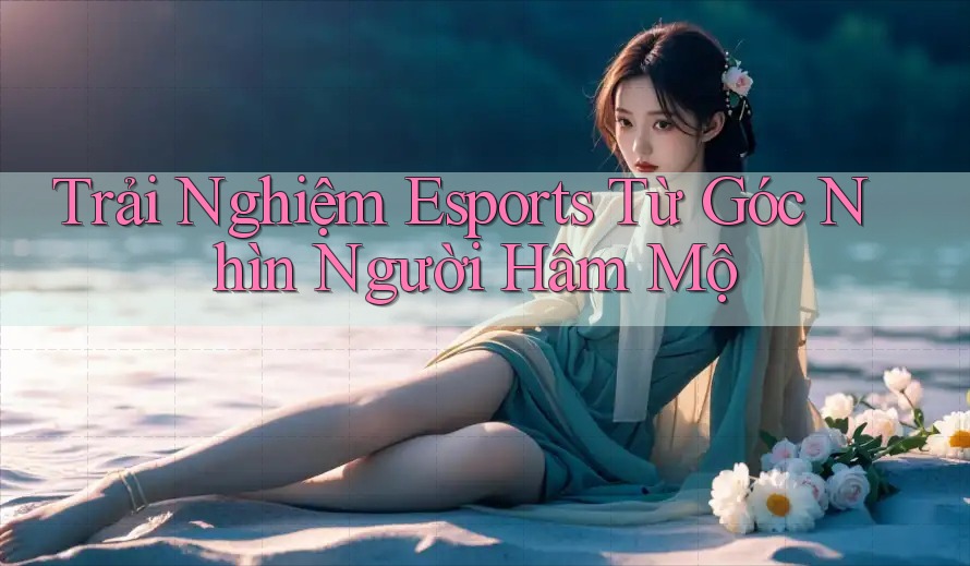 Trải Nghiệm Esports Từ Góc Nhìn Người Hâm Mộ