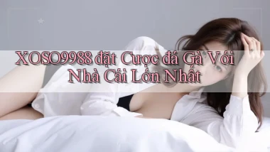 xoso9988  đặt cược đá gà với nhà cái lớn nhất