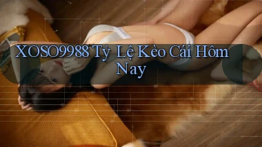 xoso9988  tỷ lệ kèo cái hôm nay